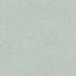 GRIS FOSIL