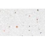 SILESTONE MONTBLANC